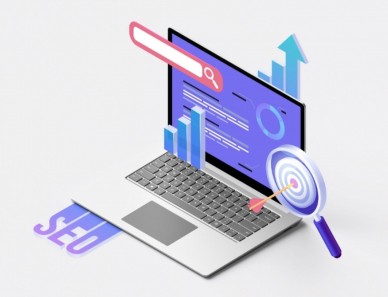 SEO / ADS
